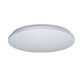 LNRX-CY191A 48 Watts Tri-Color Ceiling Lamp 500mm