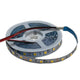 LNRX-STRIPL-20 SMD5050 12V STRIP IP20 5METER