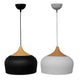 LNRX-P155 DROPLIGHT D300*H360 METAL