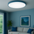 LNRX-SY01350L 48W TRI-COLOR 450MM CEILING LAMP